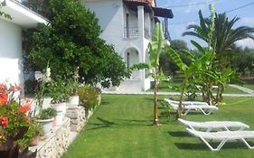 Akropolis Studios